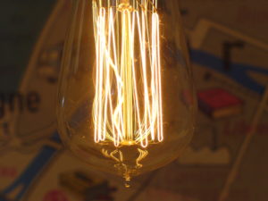 ampoule décorative bulb 40 watts 010