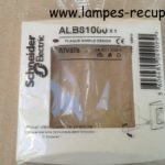 Plaque ALVAIS ALOMBARD Schneider Electric ALB81000 - Pour Mur, Occasion Fonctionnelle